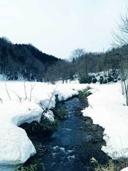 雪多い渓